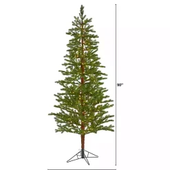 7.5 ft. Clear Lit Fairbanks Fir Christmas Tree