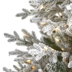 6 ft. Clear Lit Flocked Fraser Fir Christmas Tree