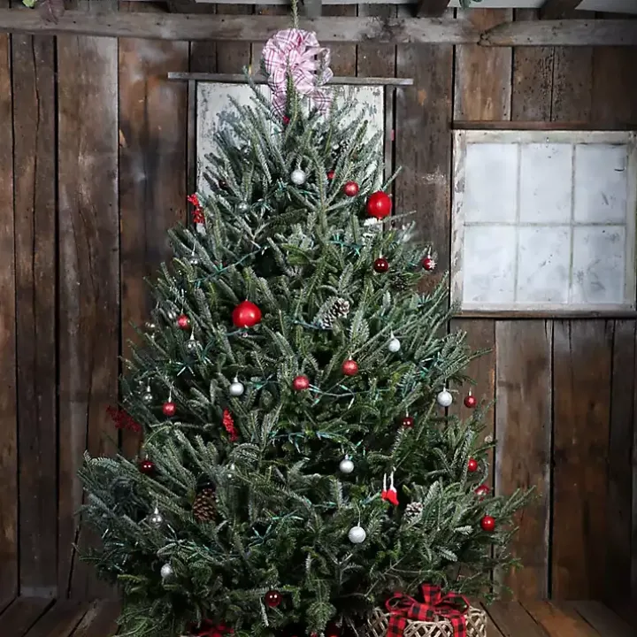 6 ft. Fresh Cut Fraser Fir Christmas Tree
