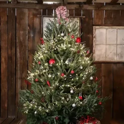7 ft. Fresh Cut Fraser Fir Christmas Tree