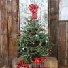 4 ft. Fresh Fraser Fir Christmas Tree with Stand