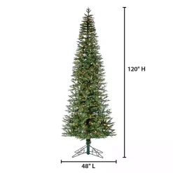 10 ft. Lit Narrow Jackson Pine Christmas Tree
