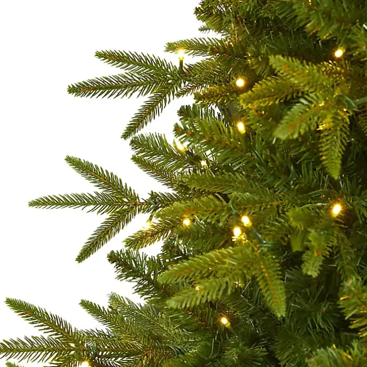 6.5 ft. Pre-Lit Colorado Mountain Christmas Tree