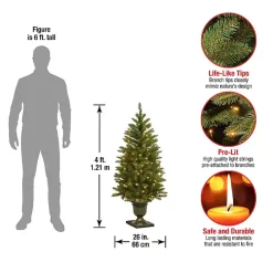 4 ft. Pre-Lit Dunhill Fir Potted Christmas Tree