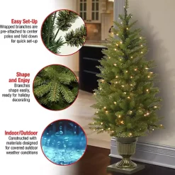 4 ft. Pre-Lit Dunhill Fir Potted Christmas Tree