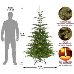 6.5 ft. Pre-Lit Feel Real Norwegian Christmas Tree