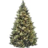9 ft. Pre-Lit Flocked Carolina Pine Christmas Tree