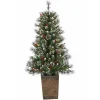 4 ft. Pre-Lit Glacier Pine Potted Christmas Tree