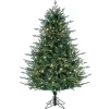5.5 ft. Pre-Lit Itasca Fraser Christmas Tree