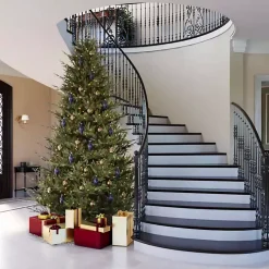 5.5 ft. Pre-Lit Itasca Fraser Christmas Tree