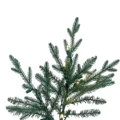 5.5 ft. Pre-Lit Itasca Fraser Christmas Tree