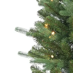 6.5 ft. Pre-Lit Narrow Dover Pine Christmas Tree