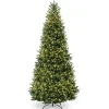 10 ft. Pre-Lit Natural Fraser Fir Christmas Tree
