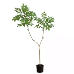 3.5 ft. Sumac Tree in Nursery Planter