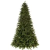 7.5 ft. Warm LED Douglas Fir Christmas Tree