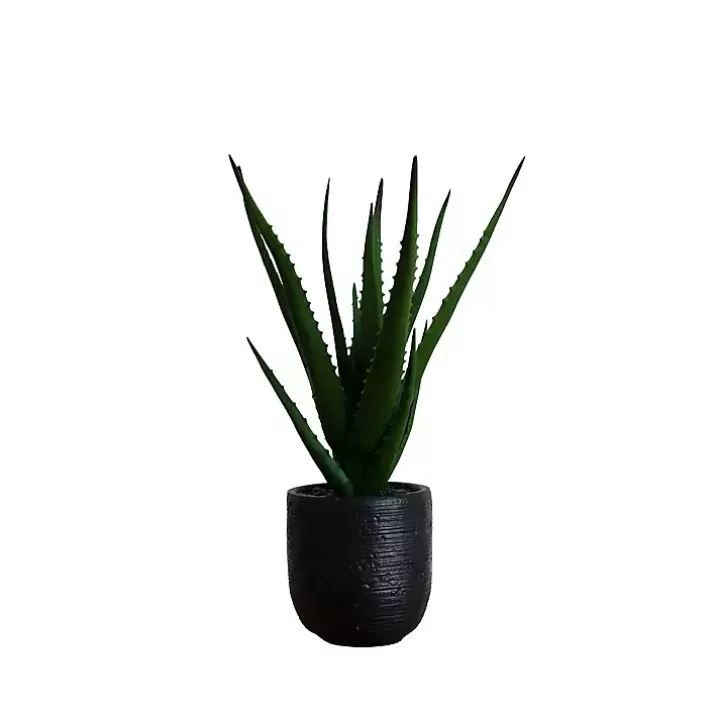 Agave Arrangement in Black Decorative Pot