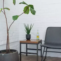 Agave Arrangement in Black Decorative Pot