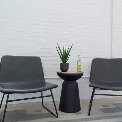 Agave Arrangement in Black Decorative Pot