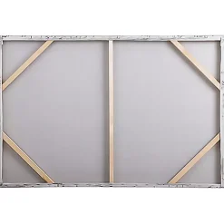 Aged Barnhouse Canvas Art Print