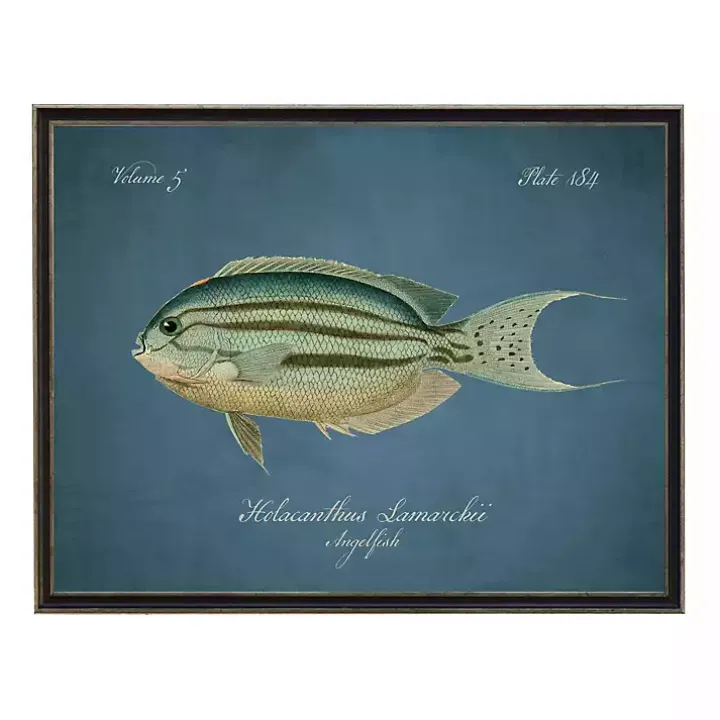 Angelfish Framed Wall Art