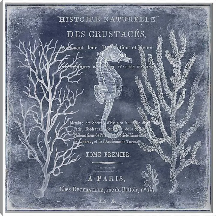 Antique Deep Blue Sea II Framed Art Print