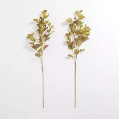 Antique Green Eucalyptus Stems, Set of 2
