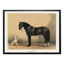 Antiqued Horse and Dog Framed Wall Art