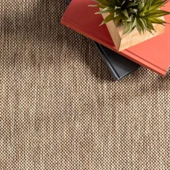 Asia Brown Stripe Border Outdoor Rug, 8x10
