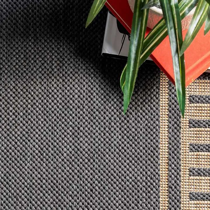 Asia Gray Stripe Border Outdoor Rug, 8x10