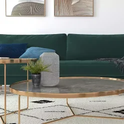 Asparagus Fern in Tall Black Planter