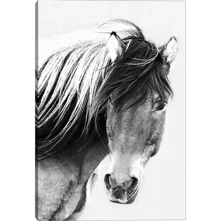 At First Glance Canvas Art Print