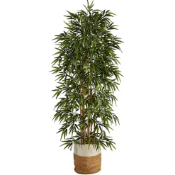 Bamboo Tree in Woven Basket, 6 ft.