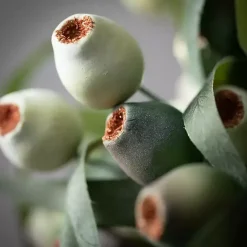 Berry Pod Stems, Set of 3