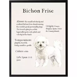 Bichon Frise Facts Framed Wall Plaque