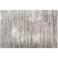 Birch Trees Canvas Art Print