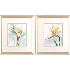 Bird of Paradise Framed Art Prints, Set of 2
