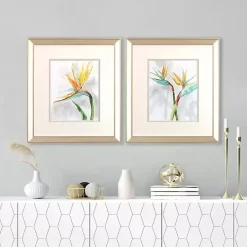 Bird of Paradise Framed Art Prints, Set of 2