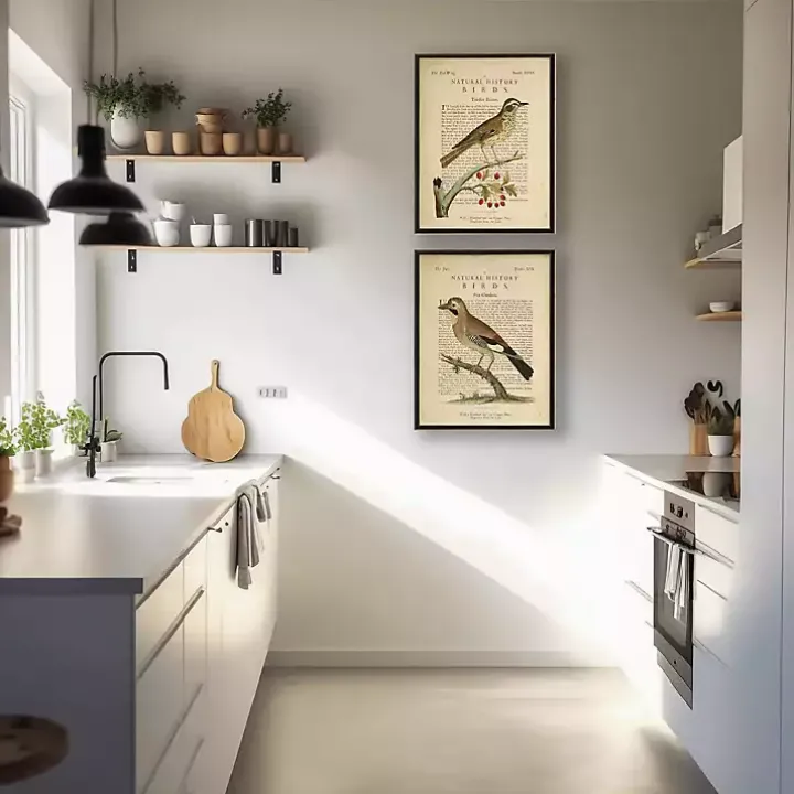 Birds Diagram I Framed Art Prints, Set of 2