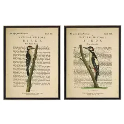 Birds Diagram II Framed Art Prints, Set of 2