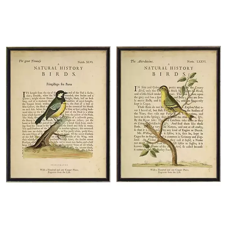 Birds Diagram III Framed Art Prints, Set of 2
