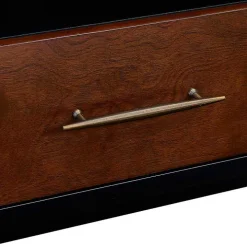 Black and Brown Wood 2-Door Media Cabinet