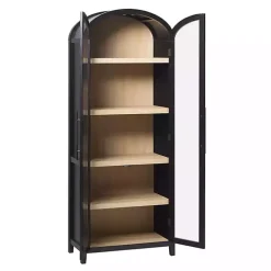 Black Arched Glass Doors Chantelle Bookcase