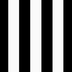 Black Cabana Stripe Outdoor Pillow, 16 in.