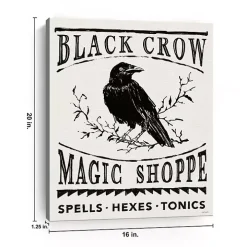 Black Crow Canvas Art Print