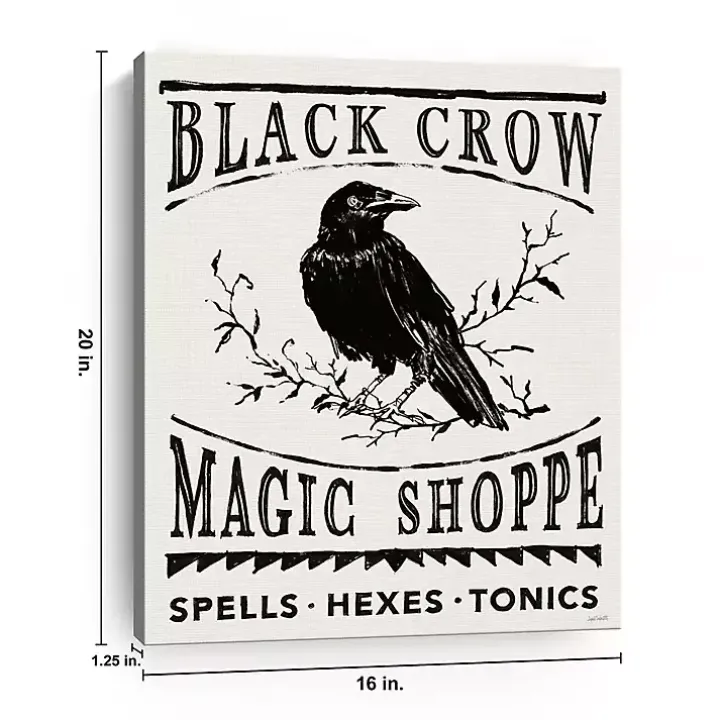 Black Crow Canvas Art Print