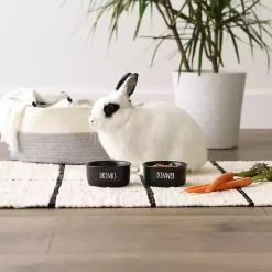 Black Dinner & Drinks 2-pc. Pet Bowl Set, 4 in.