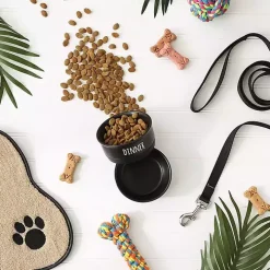 Black Dinner & Drinks 2-pc. Pet Bowl Set, 4 in.