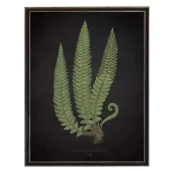 Black Fern I Framed Art Print