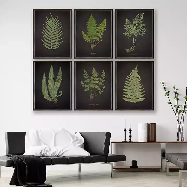Black Fern II Framed Art Print