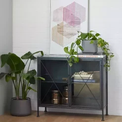 Black Iron X-Panel Cabinet